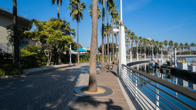 Abogado Para Accidentes De Carro Long Beach